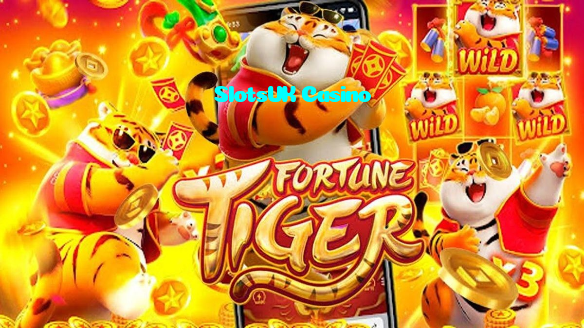 available types of SlotsUK Casino bet including pre-match live express and system bets